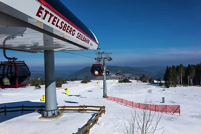 Casa vacanze a Willingen con impianto di risa...