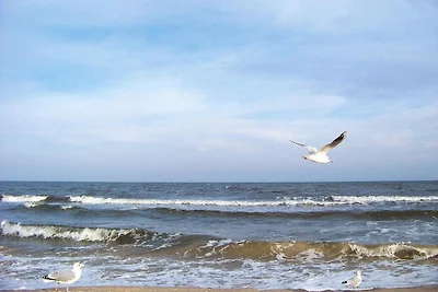 Il rumore del mare dell'appartamento, Ahlbeck
