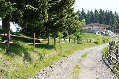 Cornelia auf der Simonhöhe