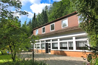 Geräumiges Ferienhaus am Waldrand