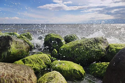 6 Personen Ferienhaus in Rømø-By Traum