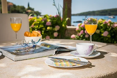 Apartments Vidak - One Bedroom Apartment with...