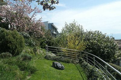 Hanssen in Lindau aan het Bodenmeer