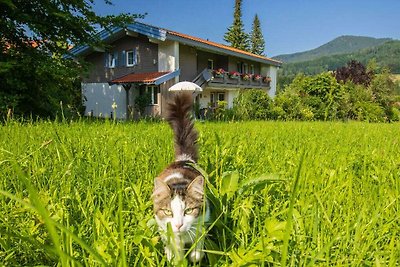 Vakantiehuis Ontspannende vakantie Ruhpolding