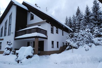 Ruim appartement in Harrachov