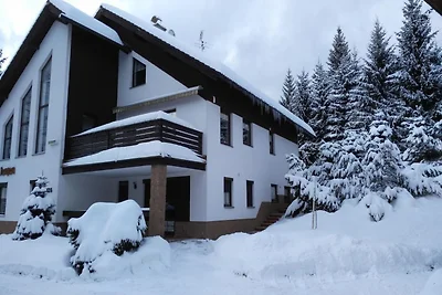 Geräumige Wohnung in Harrachov