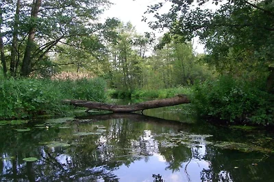 BluGarden "Echtholz"