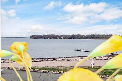 4 Sterne Ferienhaus in Hejls