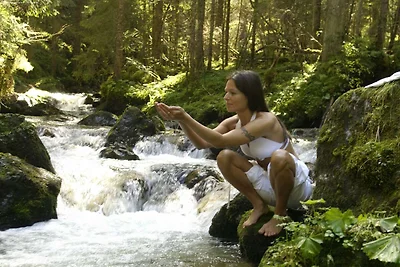 Sonnige Ferienwohnung in Skigebiet-Nähe in...