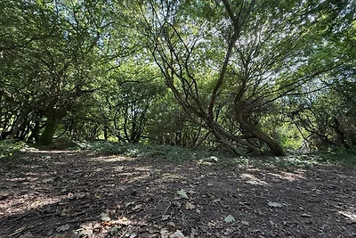8 Personen Ferienhaus in Børkop