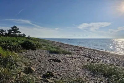 8 Personen Ferienhaus in Bogense-By Traum