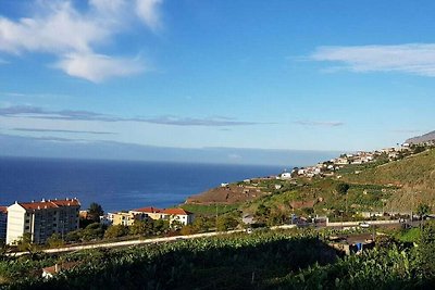 Madeira Mar "Seaside"