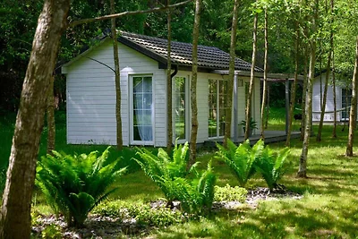 Komfortables Ferienhaus Nr. 4B mit Kamin