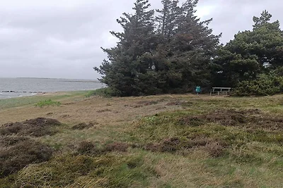 Serenite en Bord de Mer a Skaven Strand-By...