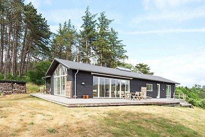 Schönes Ferienhaus in Seeland mit Terrasse