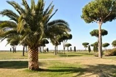 Ferienhaus in der Camargue in der Nähe von...