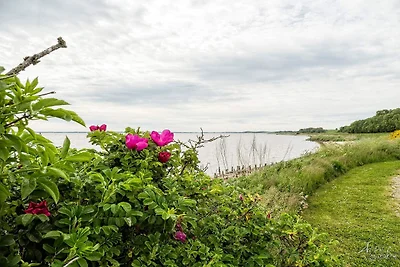Refugio rustico junto al mar -- By Traum...