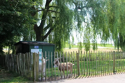 Ferienhaus in Zevenhuizen bei Delft