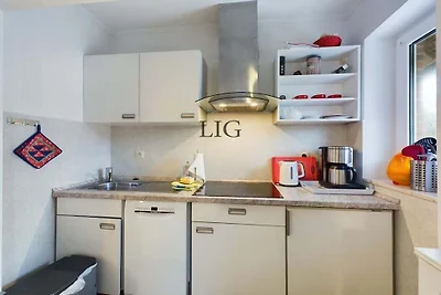 Ferienwohnung Lachmöwe