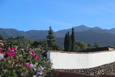 Ferienhaus in El Paso mit Schwimmbecken