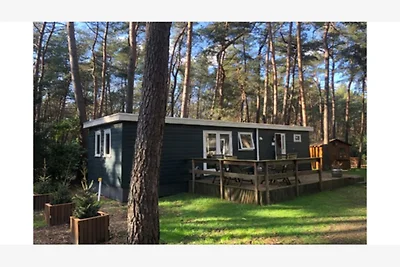 Ruhiges Kiefernwald-Chalet in Antwerpen...