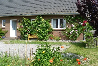 Ferienhaus mit 2 Schlafzimmer