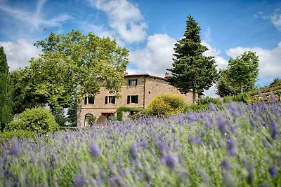 Appartamento a Panzano con piscina