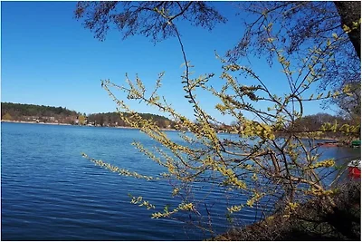 Stilvolle Ferienwohnung am See