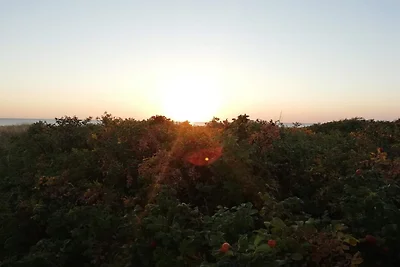 Ruhiger Strand-Ruckzug -- By Traum...