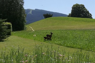 Gästehaus Alpenglüh´n