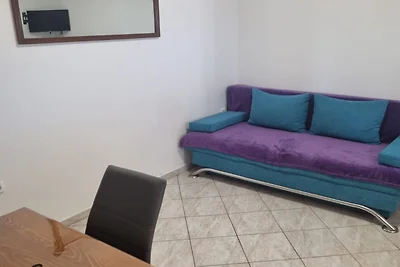 Apartments Marija Sukošan - Standard One Bedr...