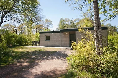 Angepasster Bungalow in Appelscha mit...