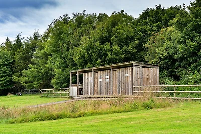 Glampingzelt in Devon nahe Strände