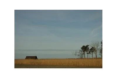 Reetdachhaus Languste, Darß/Ostsee