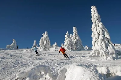 Ferienhaus in Kollnburg mit Garten