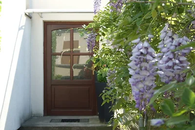 “Spitzhausblick” in Haus Felix