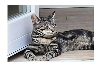 Baita a Civezza con piscina