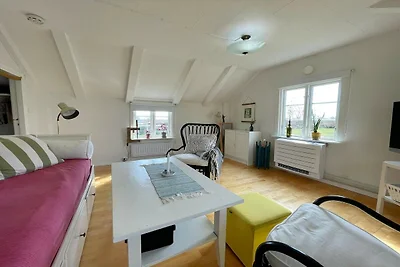 4 Persone case ad FÄRJESTADEN