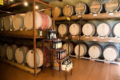 Wohnung in Montespertoli mit Pool