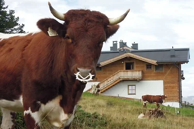 Chalet Lang in Hochkrimml voor 6 personen
