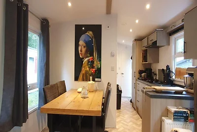 Neues Ferienhaus in Hattemerbroek mit...