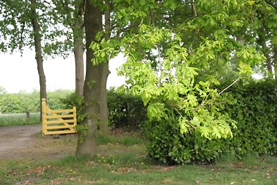 Tranquillo casale a Doorn vicino alla foresta