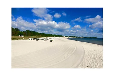 Strandvilla Miramare / Whg. Seeigel