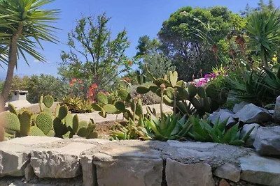 Jakov direkt am Meer