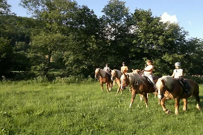 Sofia auf dem Pferdehof