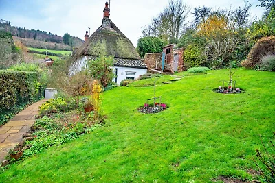 Charmant huisje met rieten dak in Alcombe, Ge...