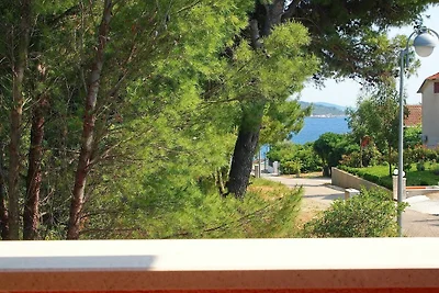 Apartments Villa Rea Orebić - One Bedroom Apa...
