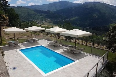 Hochwertige Wohnung in Pelago mit Pool