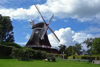 Öko-Haus Spaden