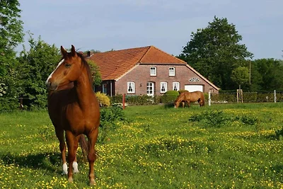 Vakantieappartement vlakbij de Witte Toren